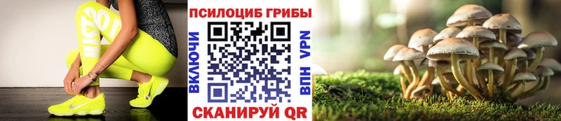 ОМГ ОМГ как зайти  Грязовец  Галлюциногенные грибы Cubensis  купить наркотики сайты 